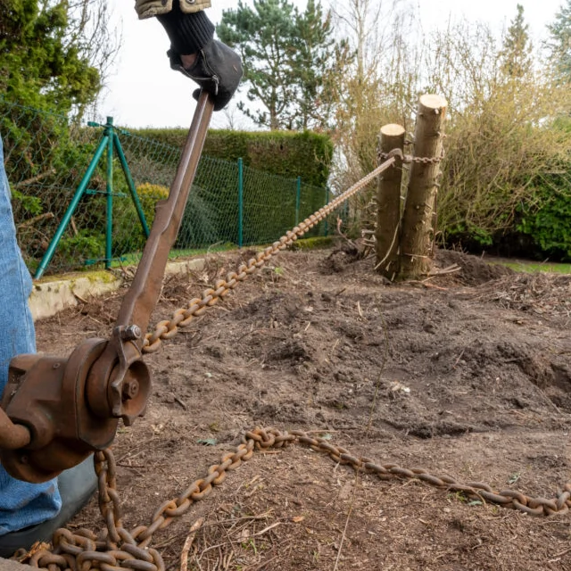 Boomstronk verwijderen